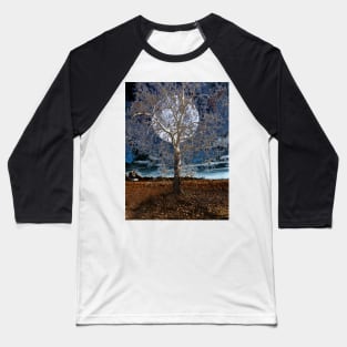 Sycamore Tree Under a Blue Moon Baseball T-Shirt